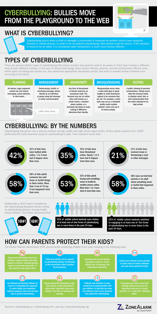 Cyber Bullying